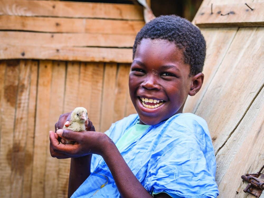 Chickens