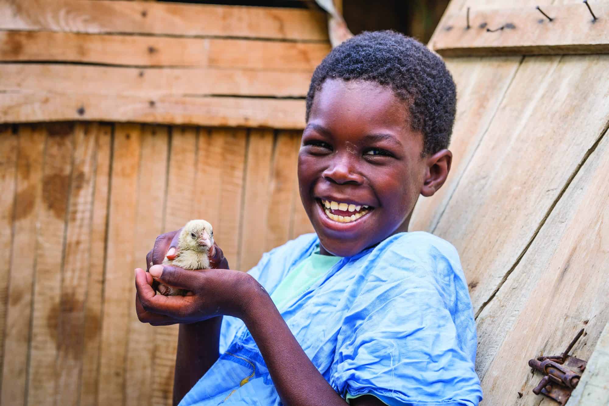 Chickens