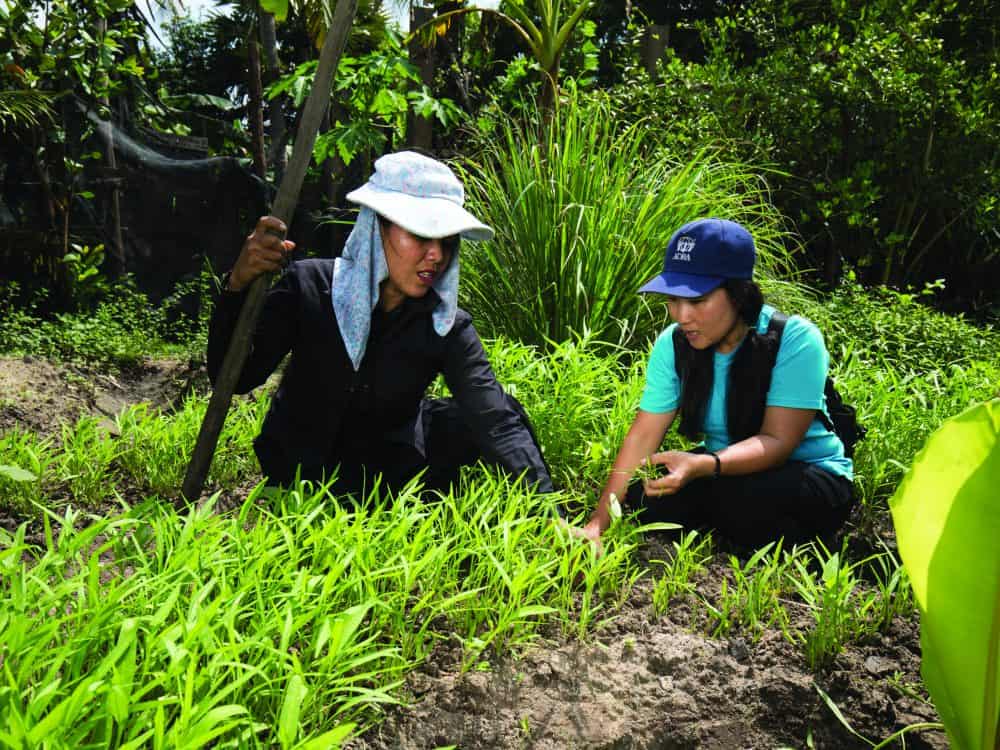 Farming Schools