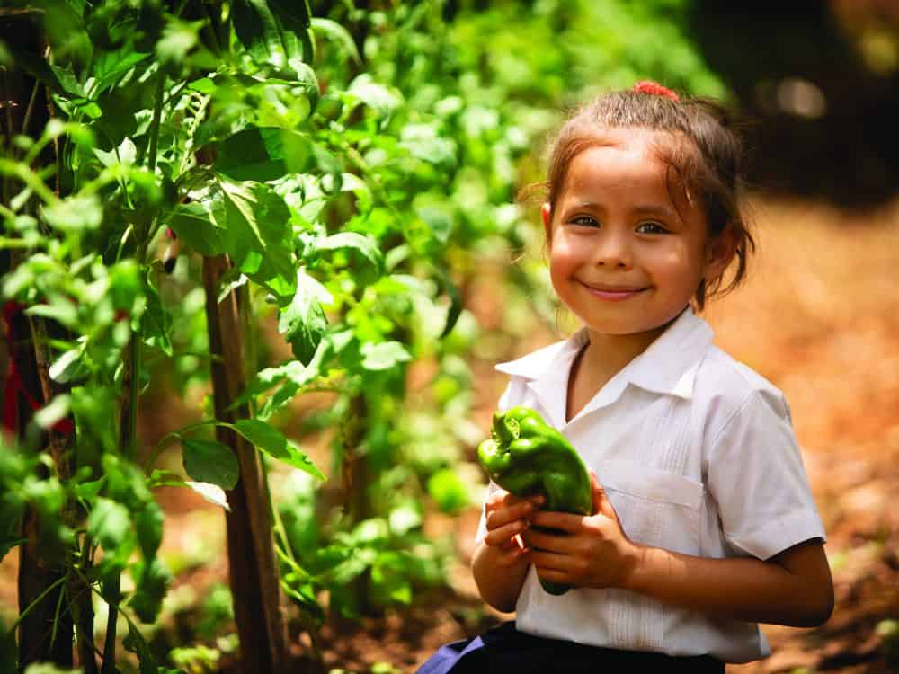 School Feeding