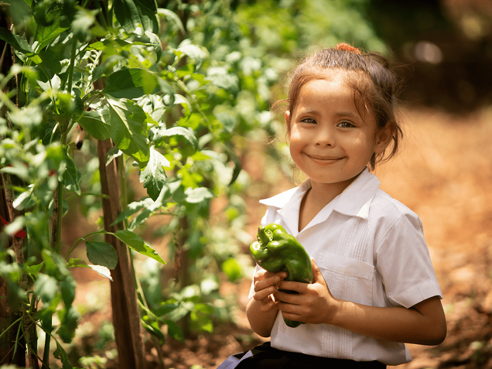 School Feeding